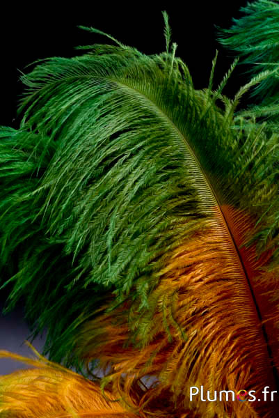 Struzzo - 30-40 cm - dorato azteco-verde